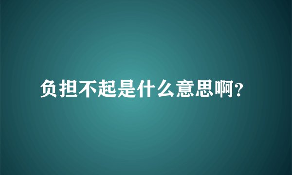 负担不起是什么意思啊？