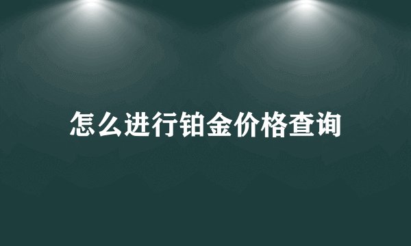 怎么进行铂金价格查询