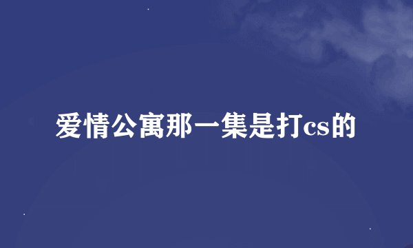 爱情公寓那一集是打cs的