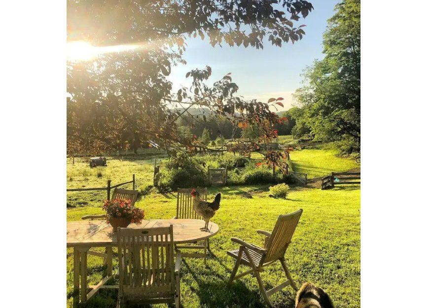 惟江上之清风，与山间之明月，耳得之而为声，目遇之而成色，取之无禁，用之不竭……是什么意思？