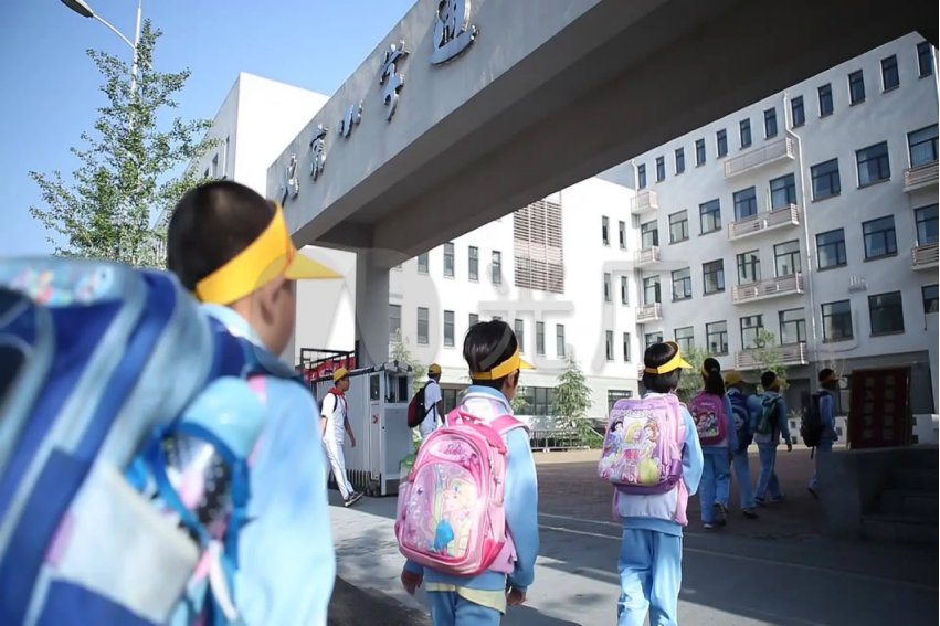 南和小学招生划片范围