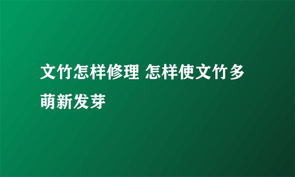 文竹怎样修理 怎样使文竹多萌新发芽