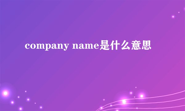 company name是什么意思