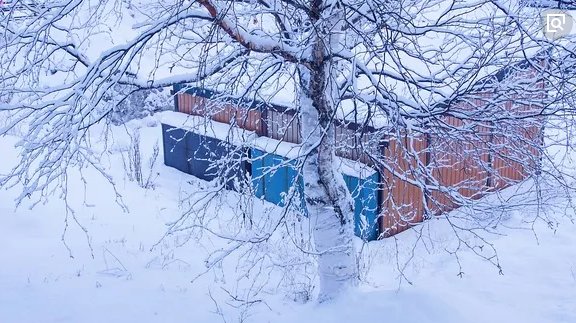 日本东京的冬天冷吗?