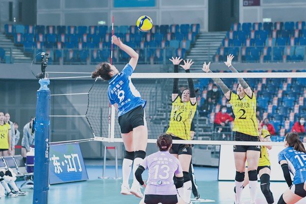 排球队员一共有几个人