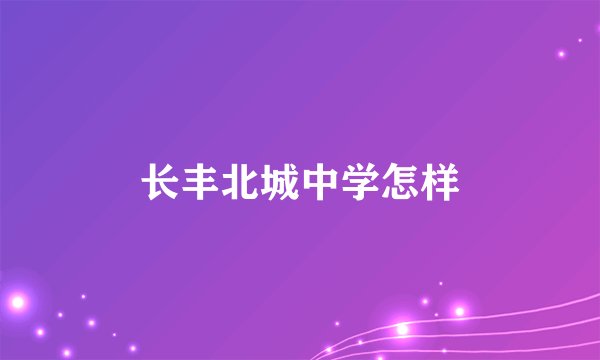 长丰北城中学怎样