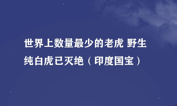 世界上数量最少的老虎 野生纯白虎已灭绝(印度国宝)