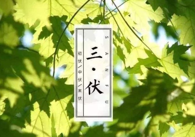 一伏二伏三伏顺口溜是什么？