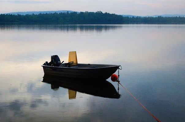 静止是什么意思