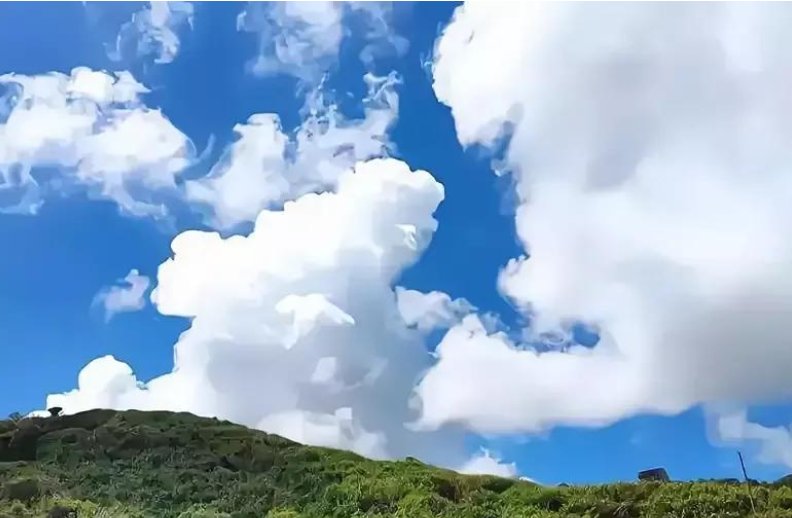 问世是什么意思呀