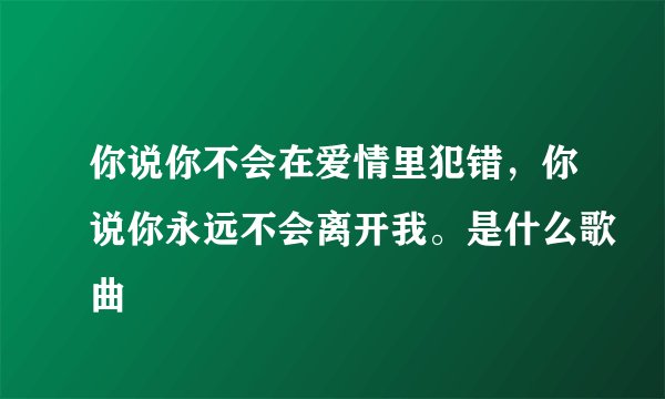 你说你不会在爱情里犯错，你说你永远不会离开我。是什么歌曲