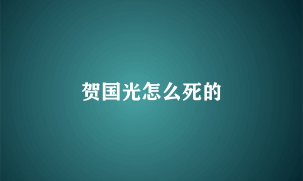 贺国光怎么死的
