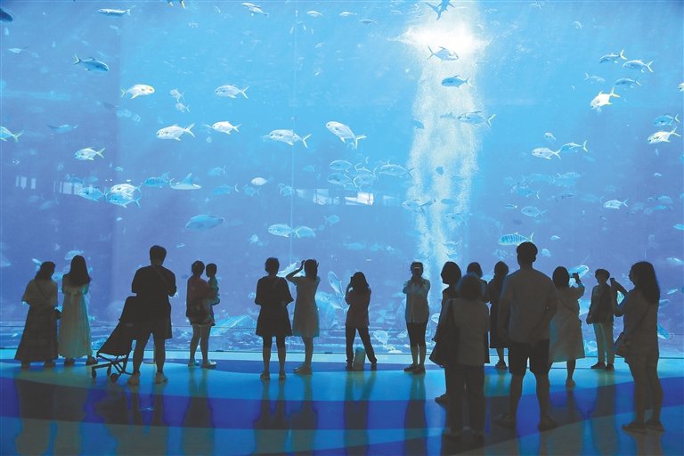 海底两万里海上大战概括