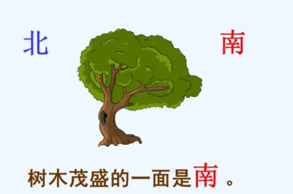 东南西北怎么辨别方向