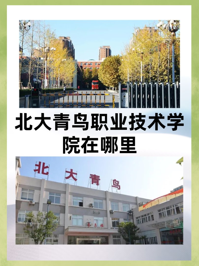 北大青鸟职业技术学院在哪里