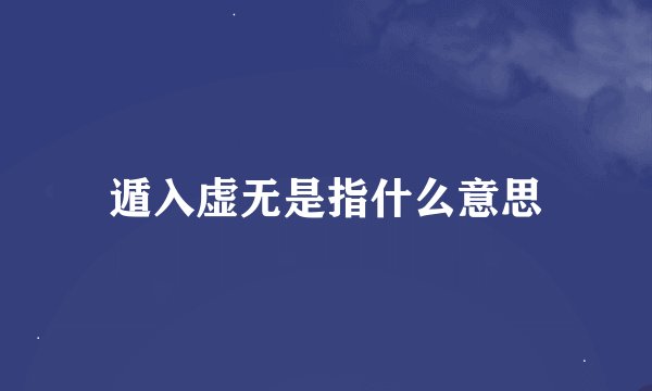 遁入虚无是指什么意思