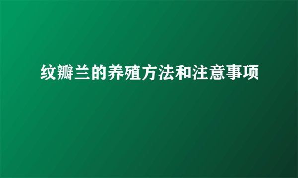 纹瓣兰的养殖方法和注意事项