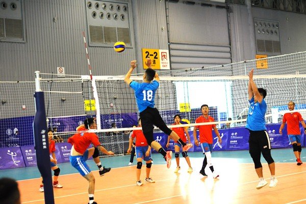 排球队员一共有几个人