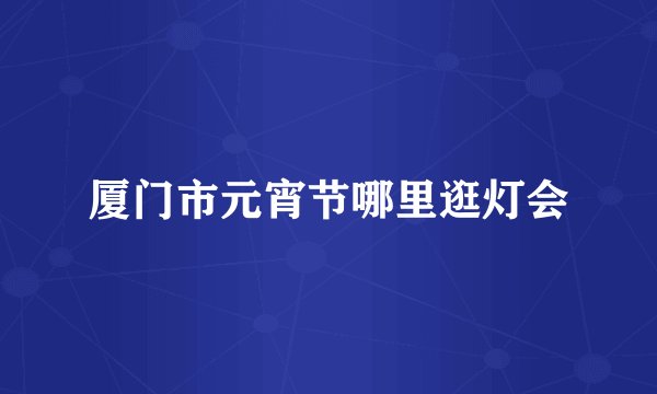 厦门市元宵节哪里逛灯会
