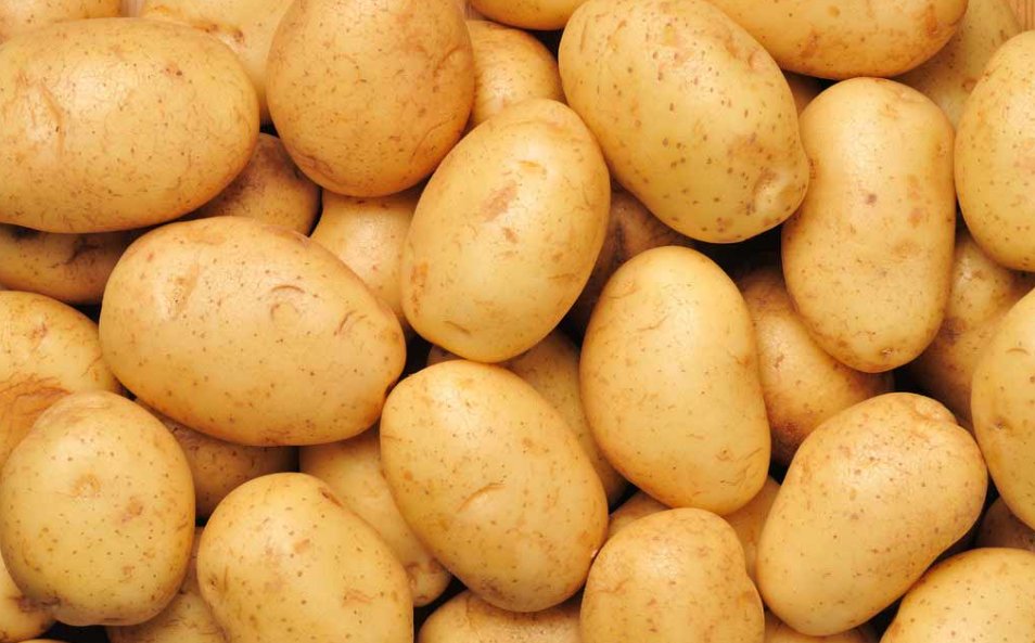 有哪些是你不知道的事？