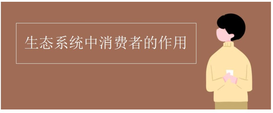 生态系统中消费者的作用