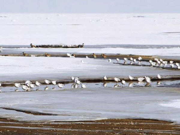 中国著名四大盐场