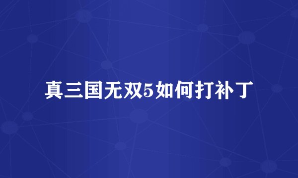 真三国无双5如何打补丁
