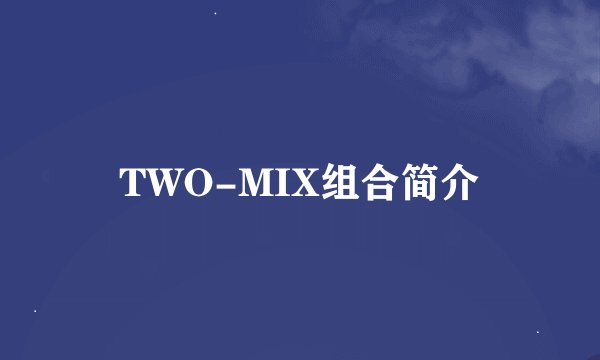 TWO-MIX组合简介