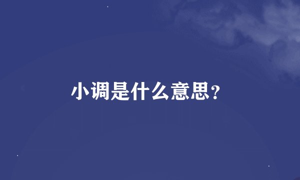 小调是什么意思？