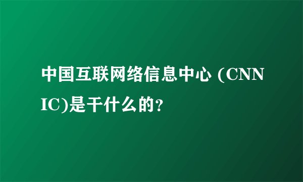中国互联网络信息中心 (CNNIC)是干什么的？
