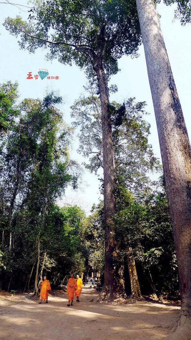 你笑不笑都倾城的内容简介