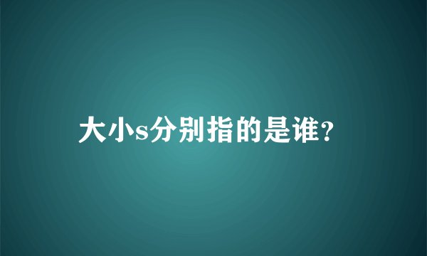 大小s分别指的是谁？