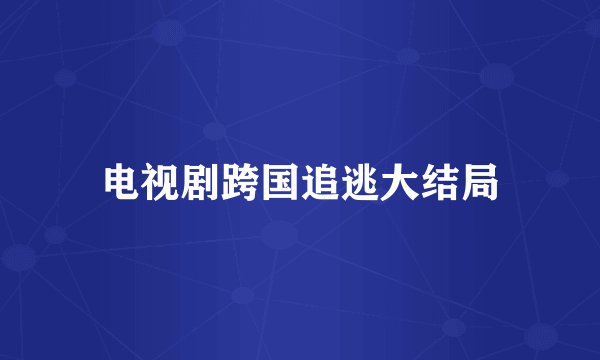 电视剧跨国追逃大结局