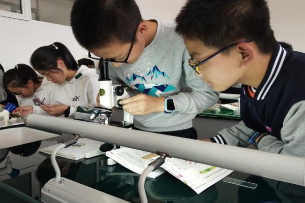 已知ir192半衰期为75天,试计算它的衰变常数为多少?