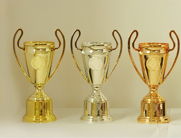 圣伯莱德杯是什么奖杯