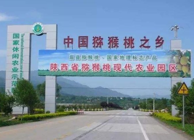 中国猕猴桃之乡是哪里