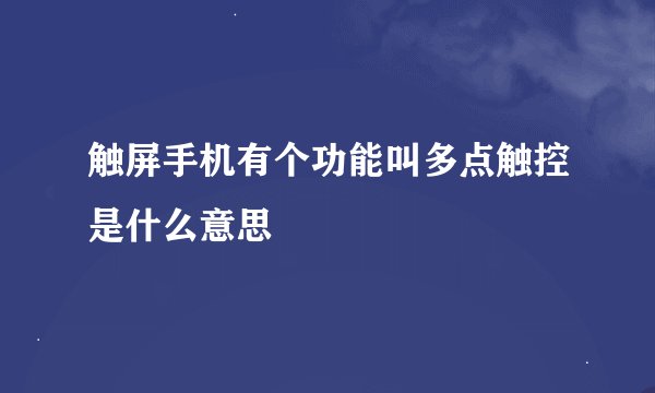 触屏手机有个功能叫多点触控是什么意思