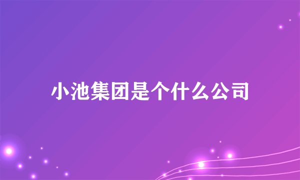 小池集团是个什么公司