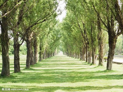 PS 怎么做花底字