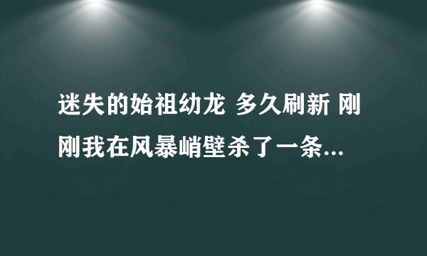 迷失的始祖幼龙 多久刷新 刚刚我在风暴峭壁杀了一条稀有蓝龙 那迷失龙多久后刷新啊？ 求 有经验的人回答