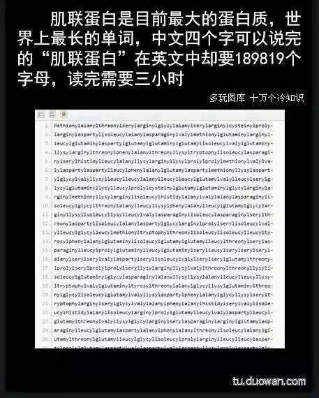 肌联蛋白这个词用英文怎么写？（全称）