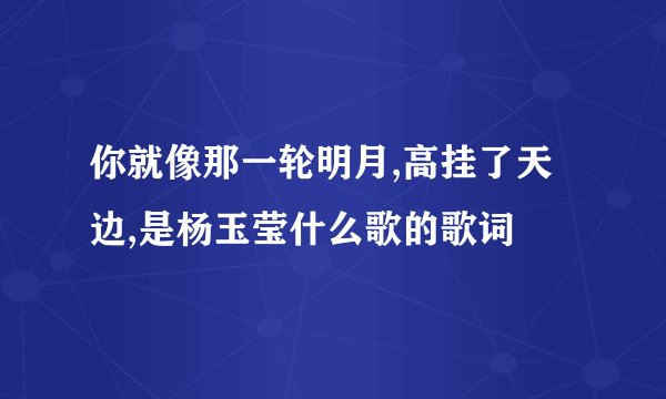 你就像那一轮明月,高挂了天边,是杨玉莹什么歌的歌词