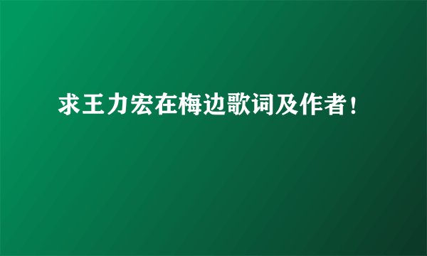 求王力宏在梅边歌词及作者！