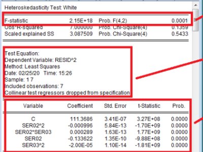 怎么进行怀特检验?