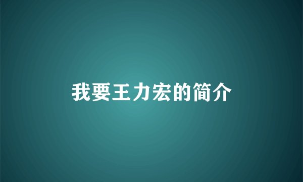 我要王力宏的简介