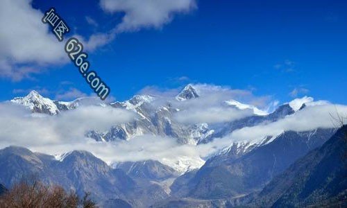 管家婆小鱼儿论坛心水？