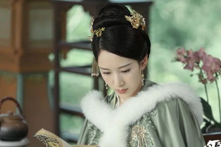 《雪中悍刀行》中，为什么卢东阳作为卢府管家那么嚣张？