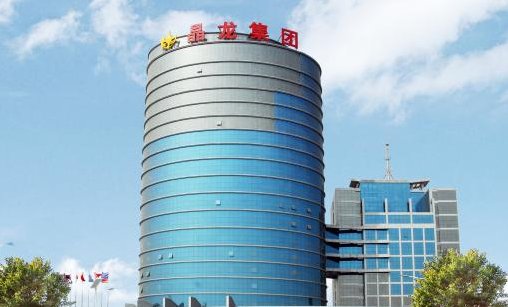 永恒星龙集团是干啥的?