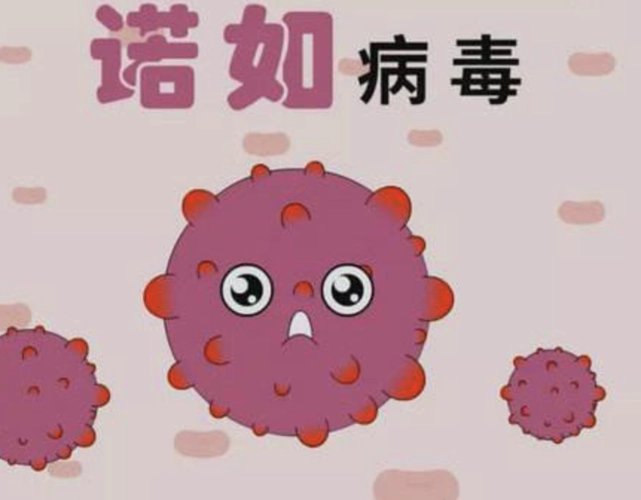 中国农业大学多人感染诺如病毒，这种病毒该如何预防？