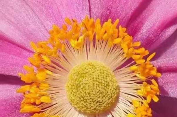 rui拼音的所有汉字